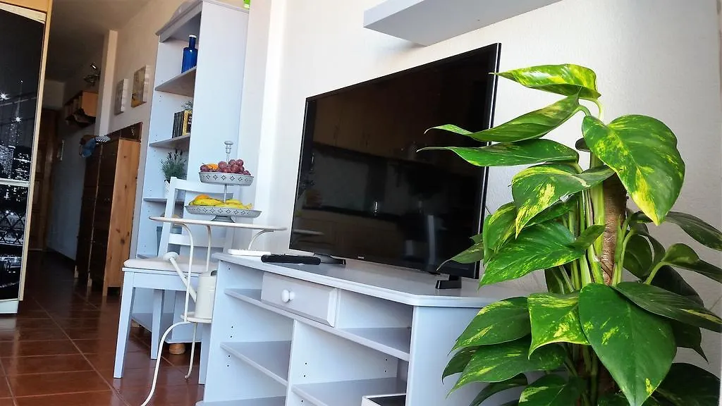 Apartment Surycan Maspalomas  Espagne